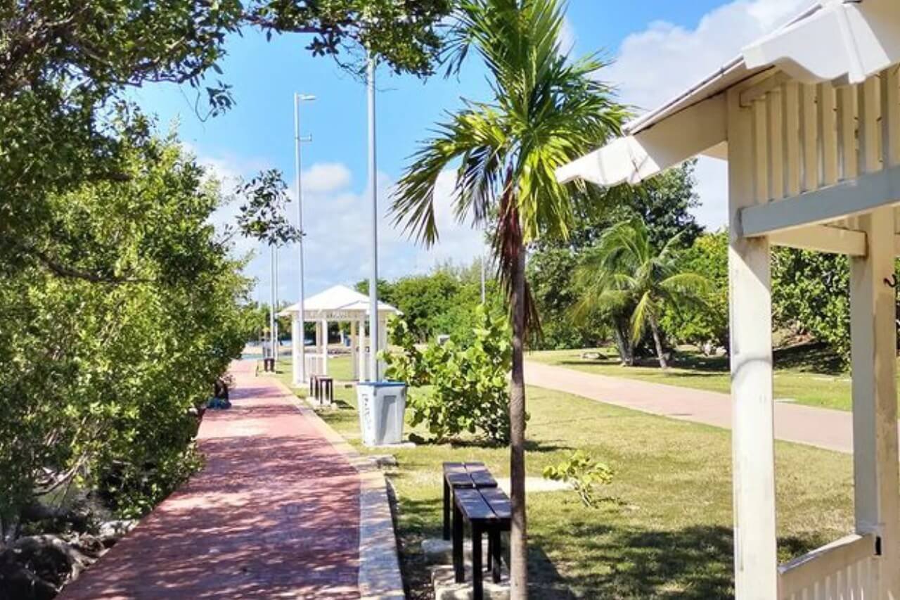 que hacer en cancún en jardín del arte