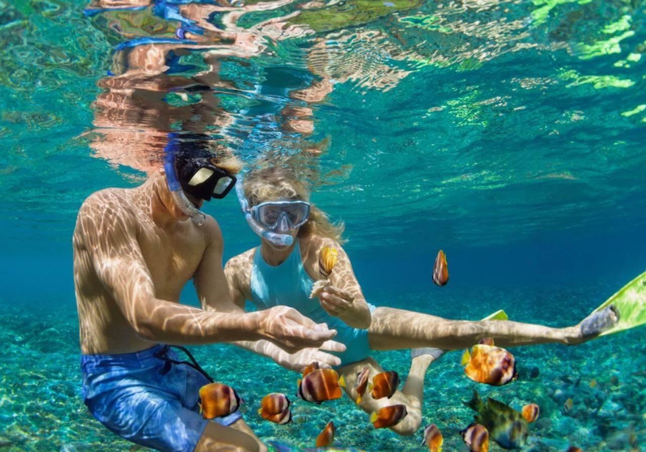 snorkel en el Caribe Mexicano